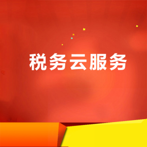 税务云服务