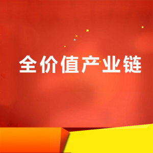 全价值链业务支撑