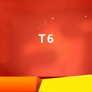 畅捷通T6